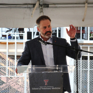 School of Veterinary Medicine