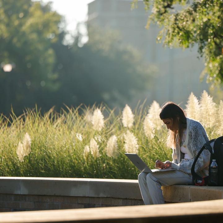 Enroll at Texas Tech University.