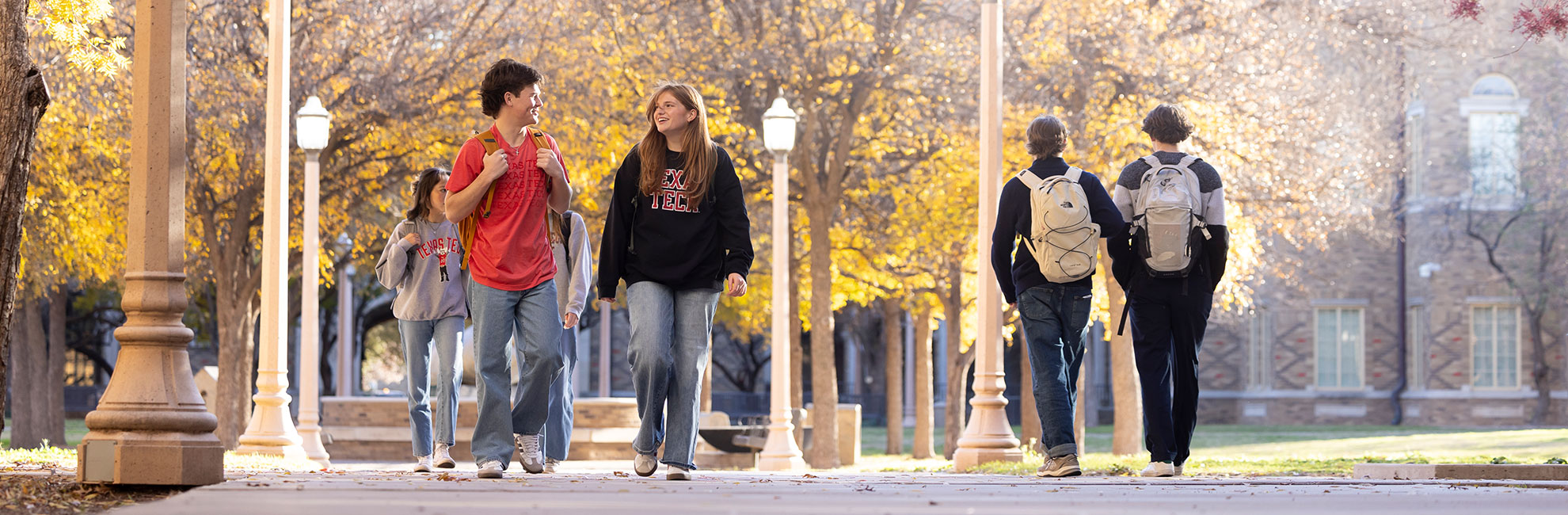 Group of students walking and talking on a path lined with yellow-leafed trees in autumn.