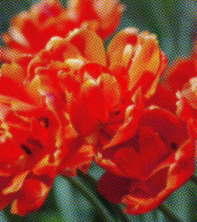 Flower background