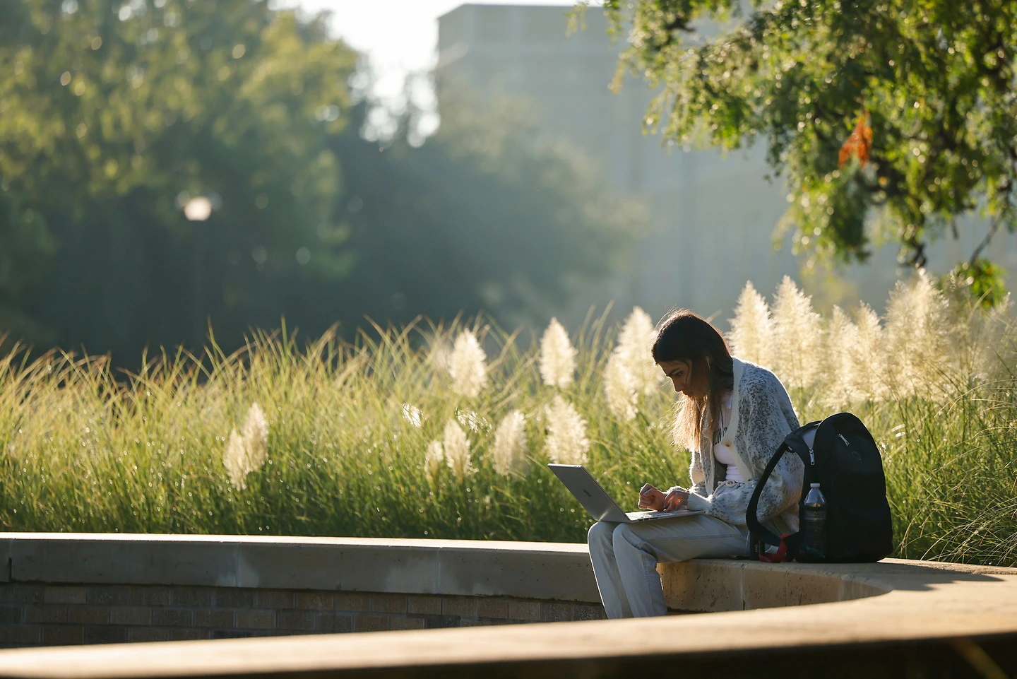 Student seated alone on campus with a laptop