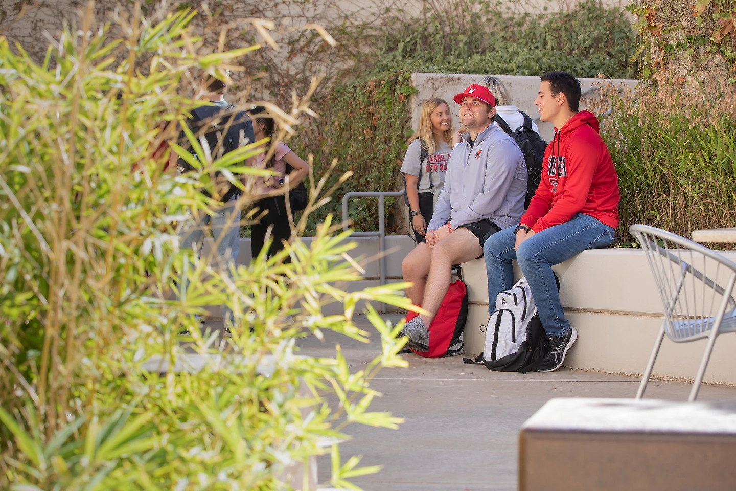 Students sitting together on campus with leaves in the foreground.