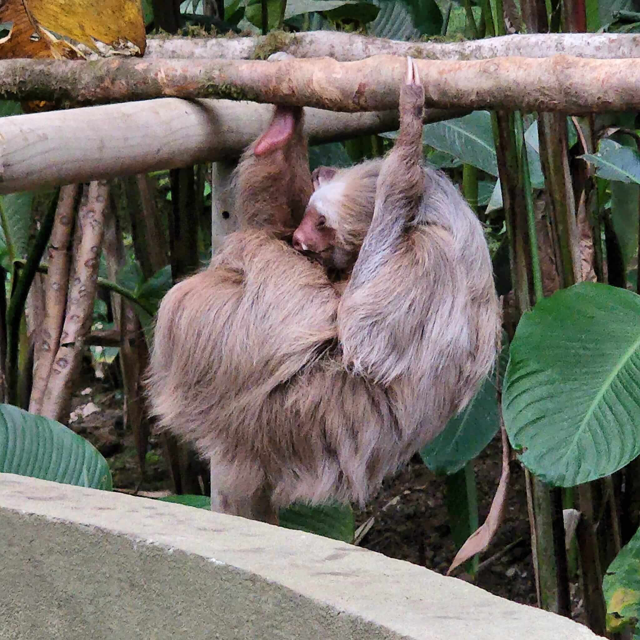 Student Life Experience