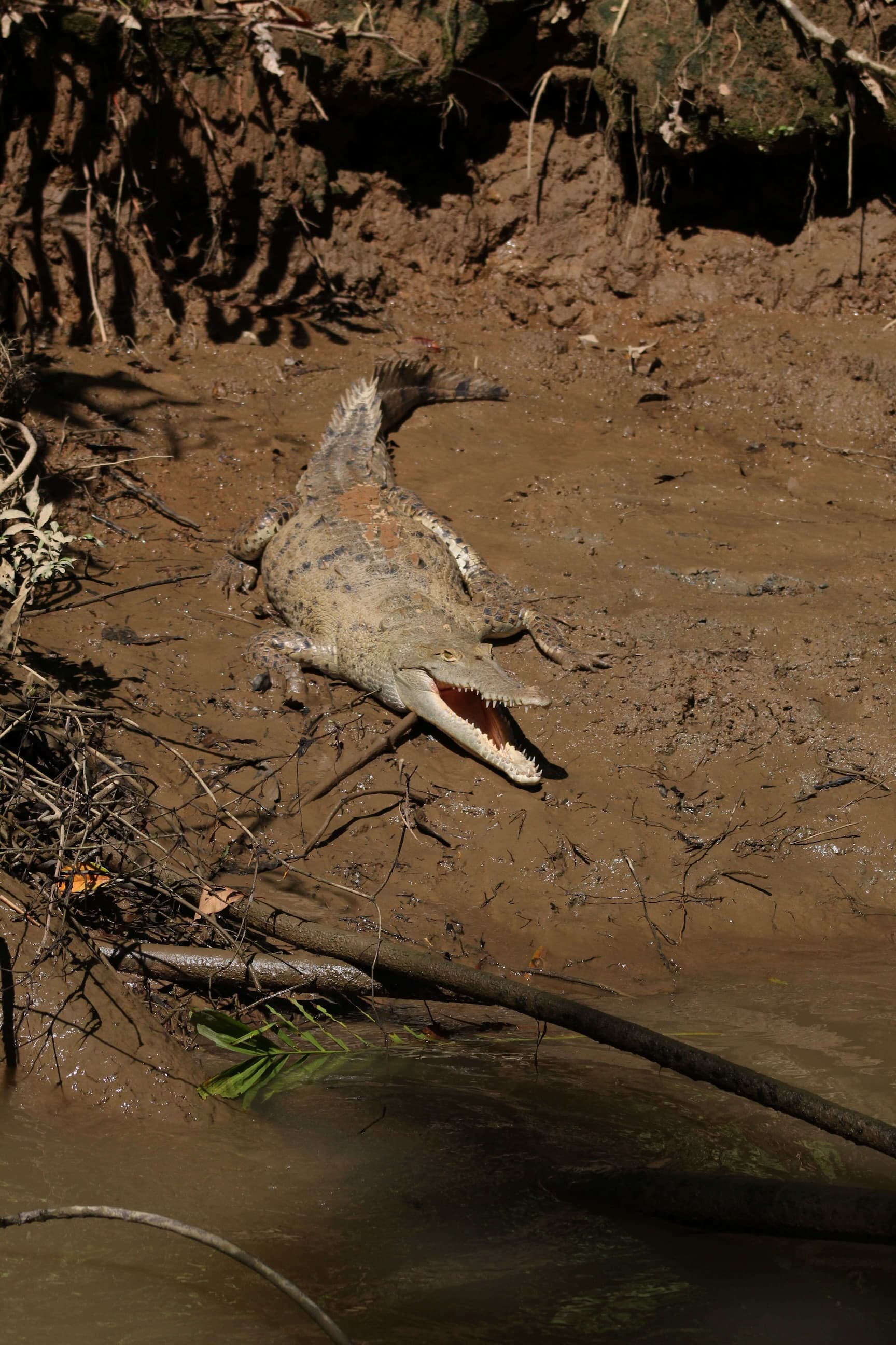 Study Abroad Activities