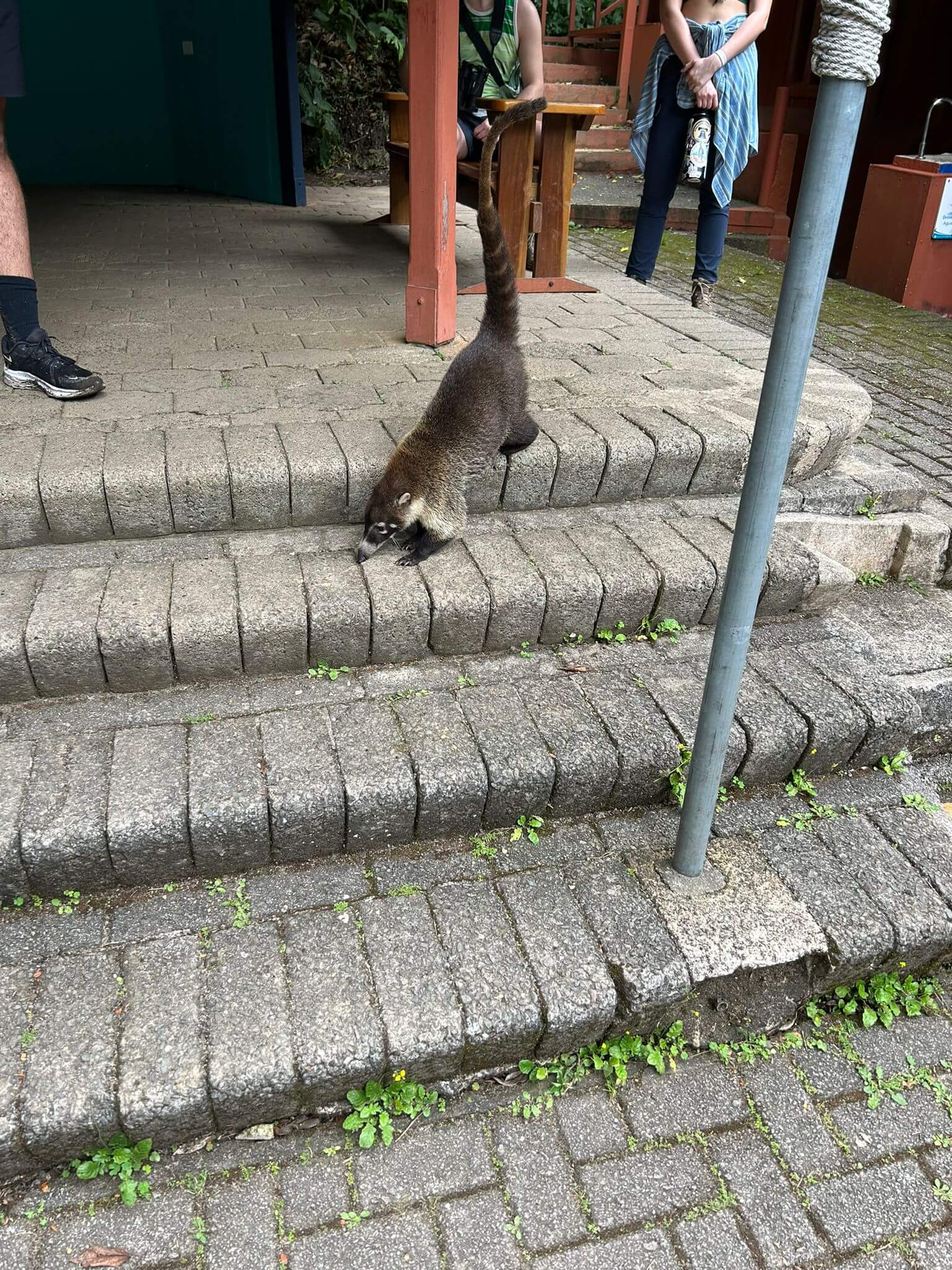 Visiting Student Experience