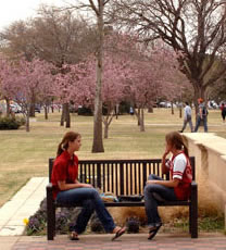 Girls on the Bench