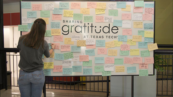 Student posting to a bulletin board that reads 'gratitude' 