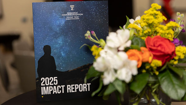 2025 Impact Report 