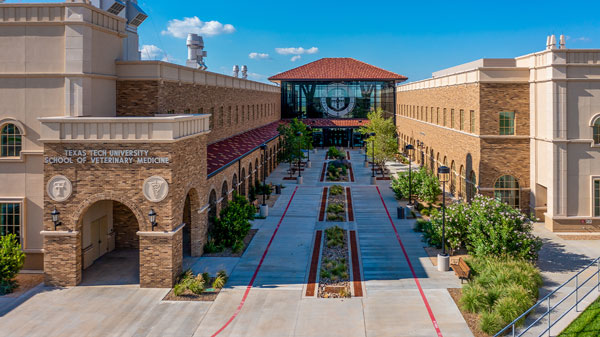 Texas Tech University’s School of Veterinary Medicine