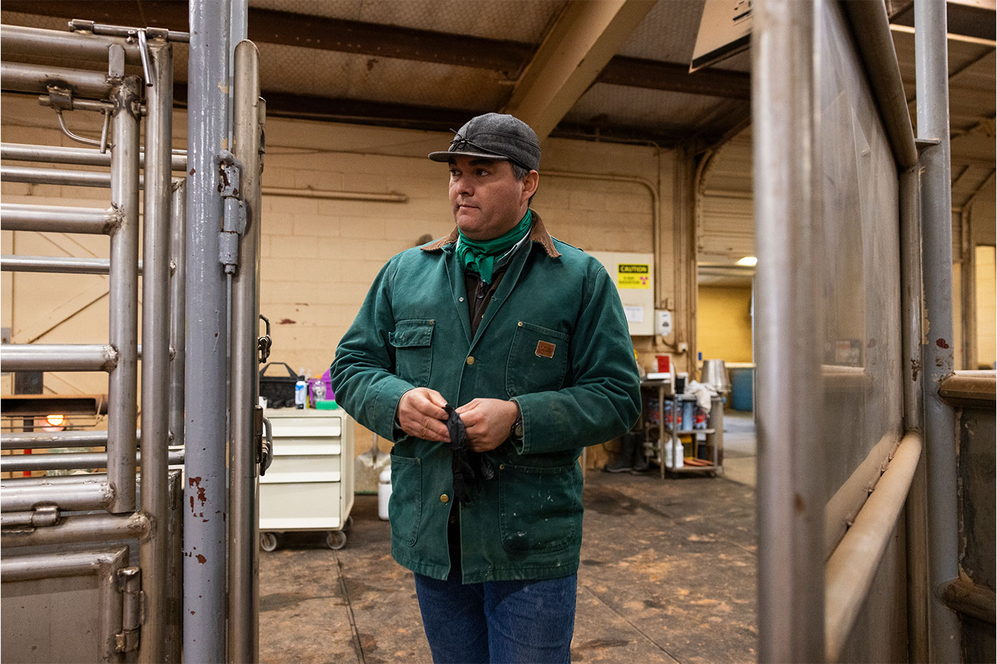 Jovani in a stable.
