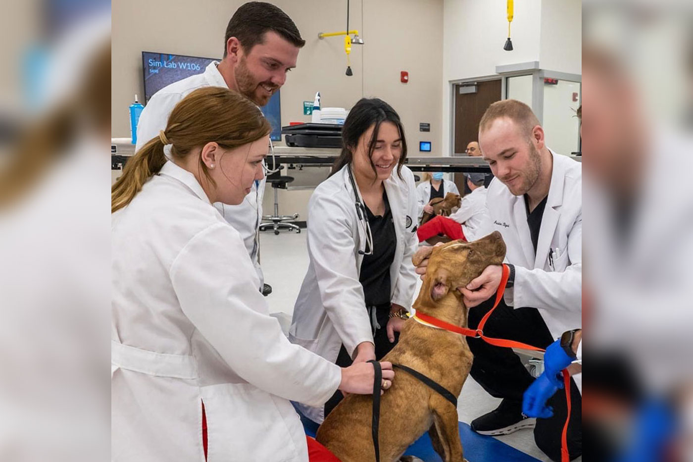 Austin and other students gather around a dog. 