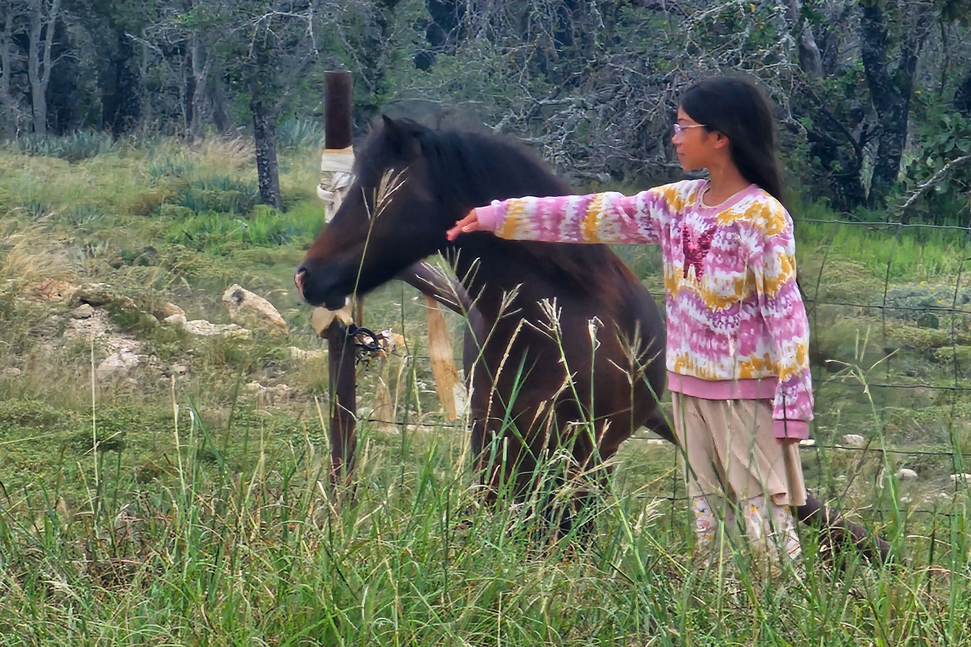 Neptalia with a darker pony. 