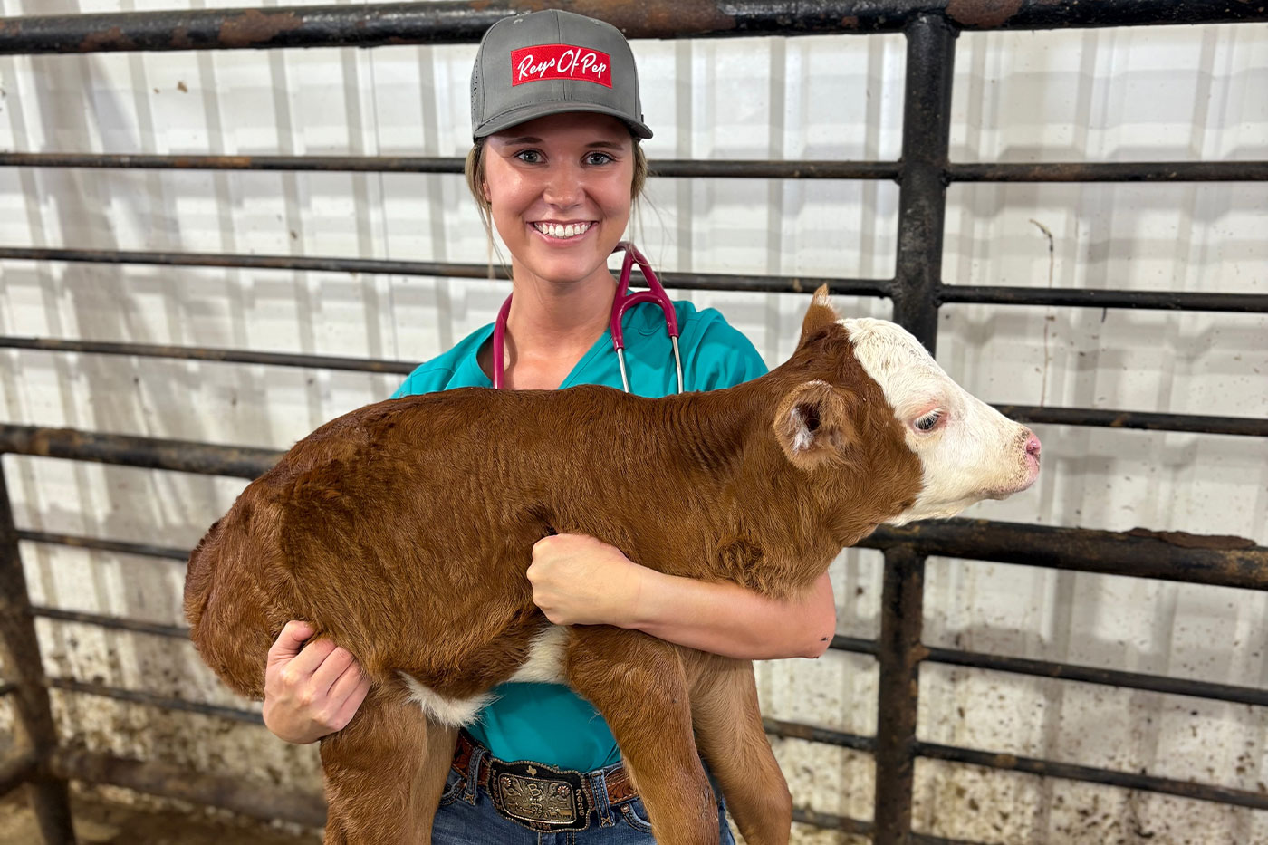 Bentley with baby calf