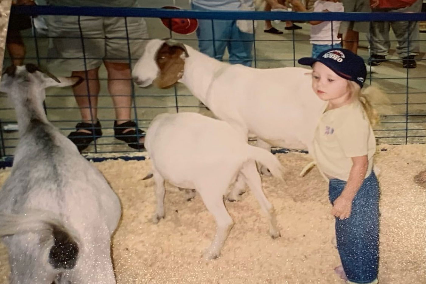 Young Bentley with goats.