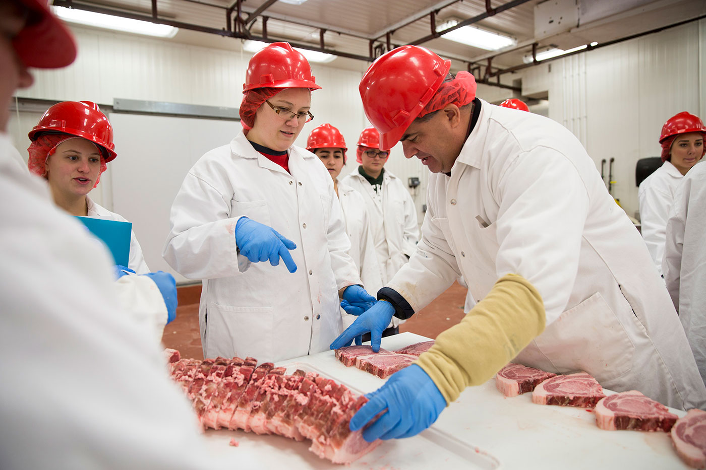 students examining beef cuts