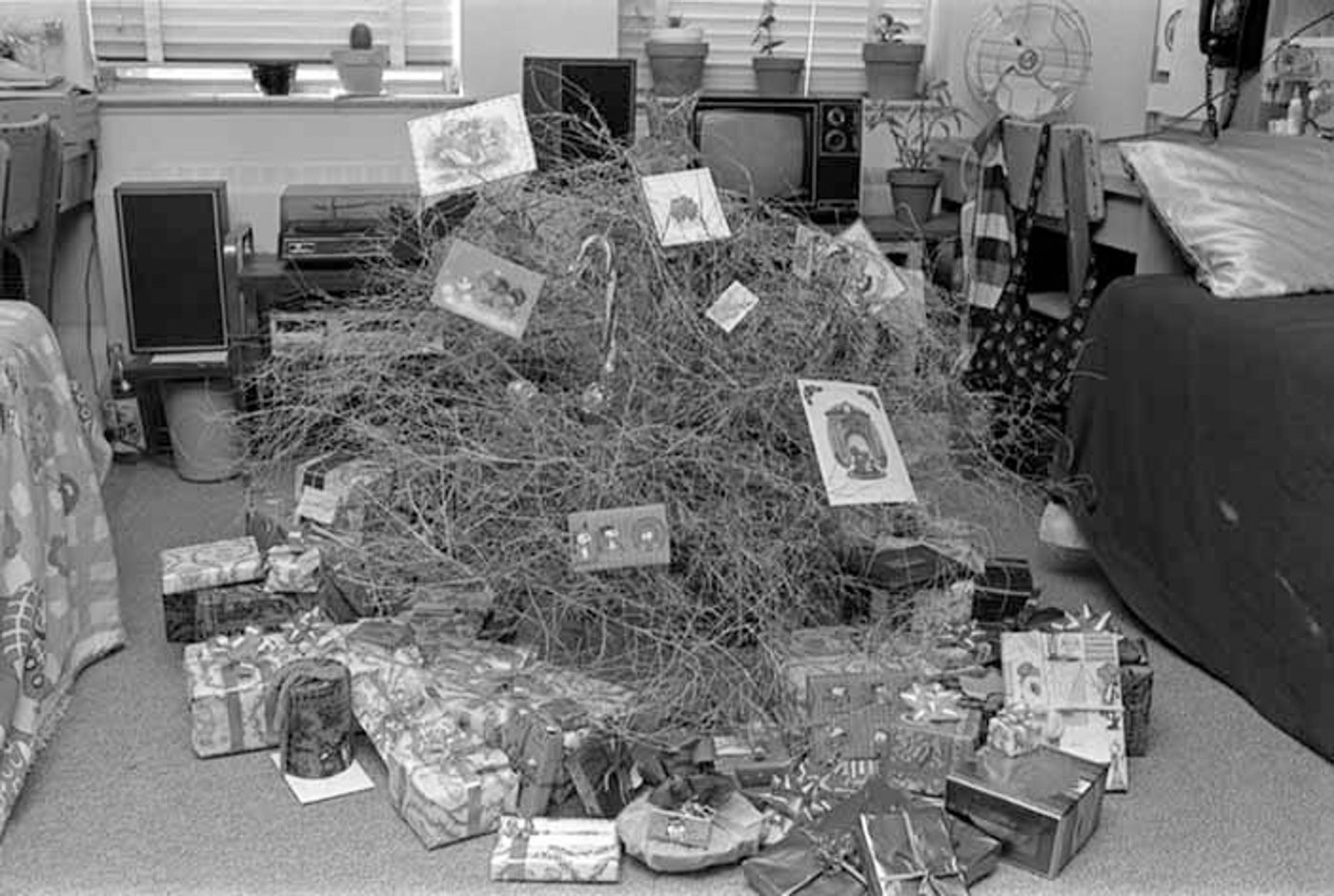 Black and white photo of a tumbleweed in a dorm room, decorated for Christmas. 