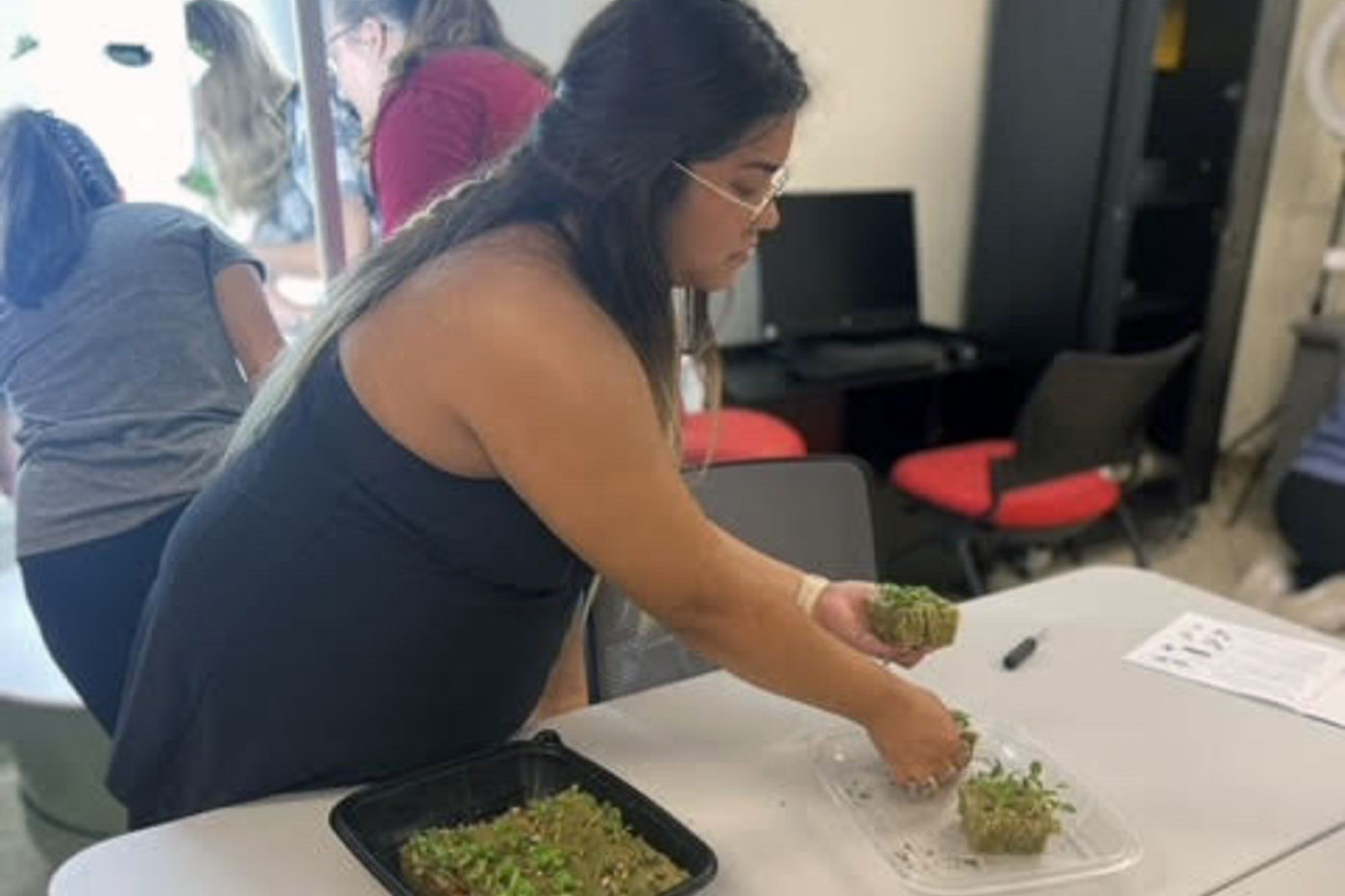 Tower Garden Harvest