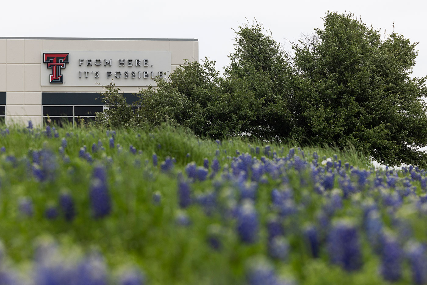 Exterior of DFW Building