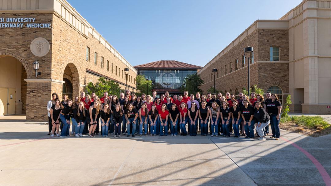 School of Veterinary Medicine Grads Reflect on Serving Rural/Regional Communities