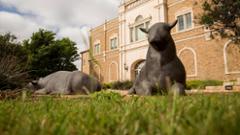 Image thumbnail for “Texas Tech and Lubbock Impact Collaborate on Difference-Making Mission” story
