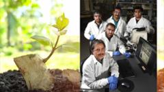 Image thumbnail for &ldquo;Texas Tech Scientists Develop Novel Acceleration Technique for Crop Creation&rdquo; story