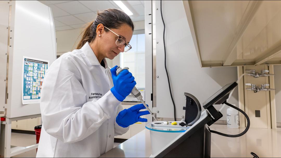 Texas Tech Professor Earns Industry Recognition for Standout Early Career