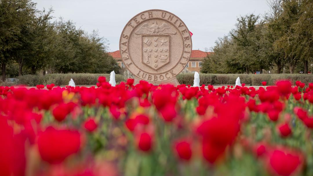 Texas Tech Names New Horn Distinguished Professors