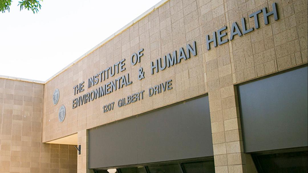 Texas Tech Researchers Help Confirm First Case of Avian Influenza Transmitted from Cow to Human