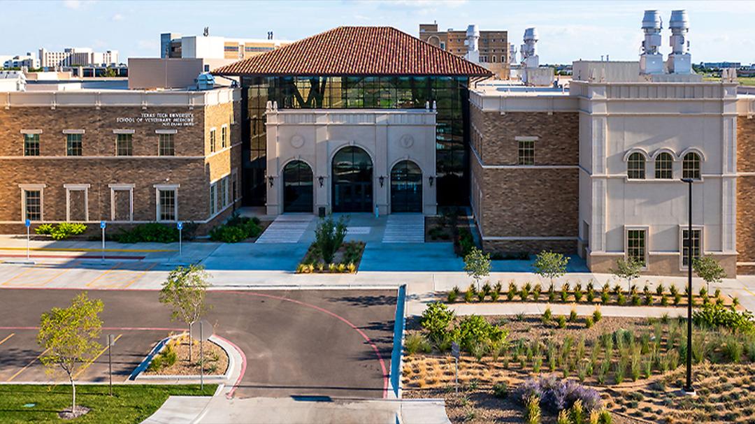 Texas Tech School of Veterinary Medicine Earns Full Accreditation