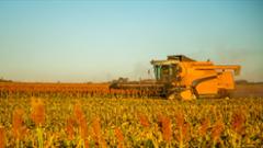 Image thumbnail for &ldquo;Research, Partnerships Help Texas Tech Land Sorghum Conference&rdquo; story