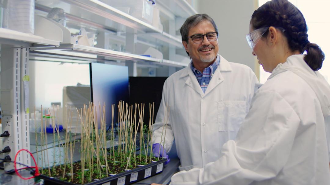 Texas Tech Features Cast of Plant Genomics Experts