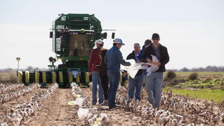 What Would the Texas University Fund Do For Texas Tech?