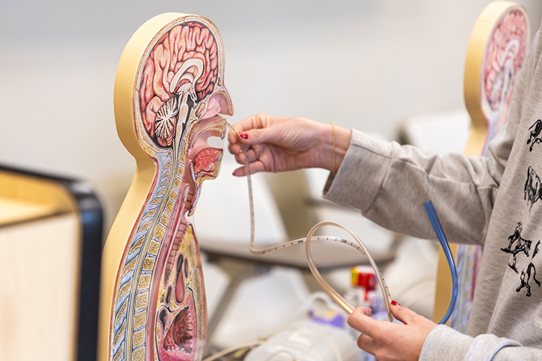 Student inserting a nasogastric NG tube on a practice model in class.