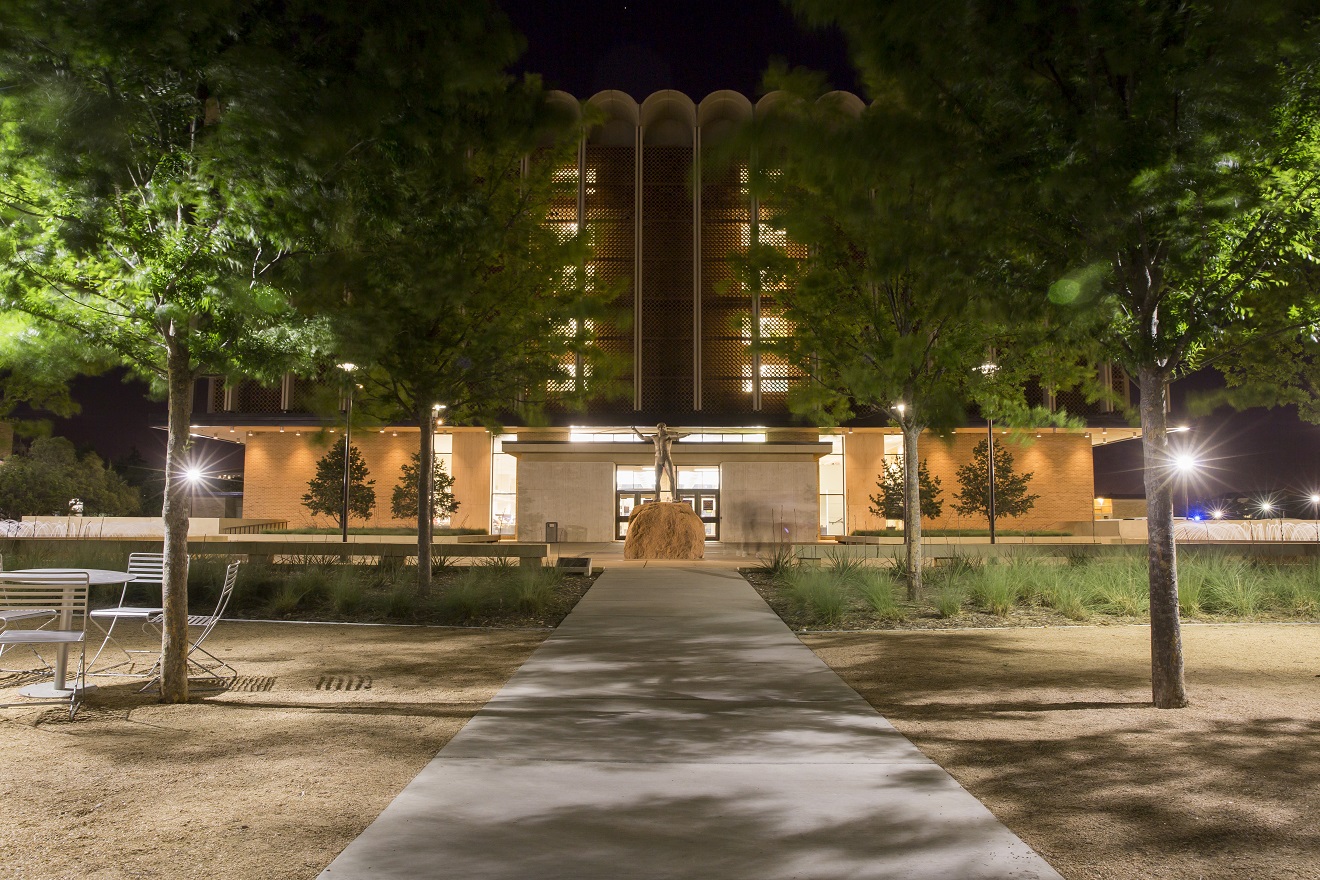 Library Statue at Night